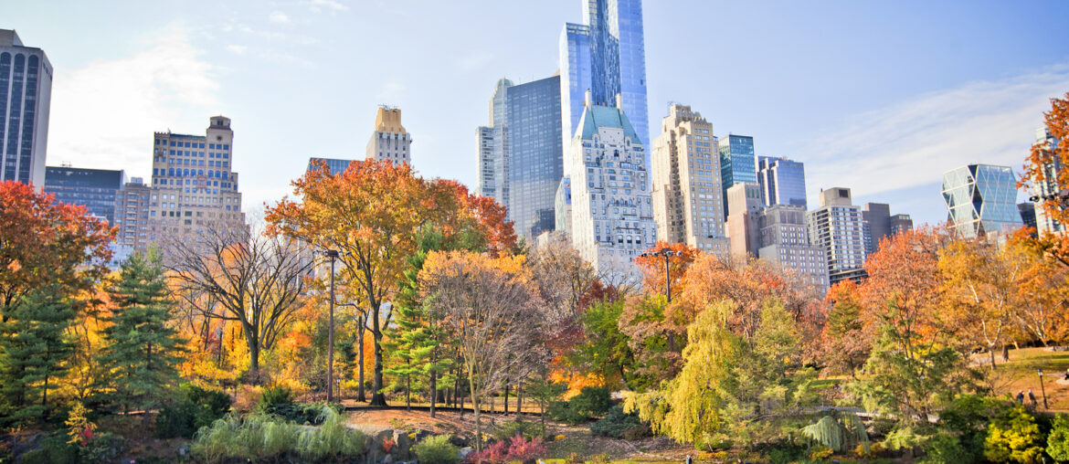 Juleshopping i New York
